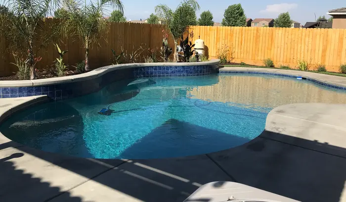 A pool with deep blue waterline tile on a curving raised wall, with palms and a new cedar fence behind.